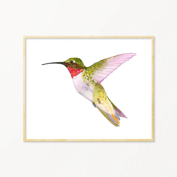 Ruby-Throated Framed Art Print