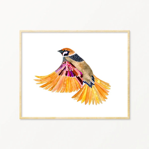 Sparrow Framed Art Print