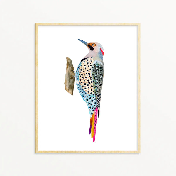 Northern Flicker Woodpecker Art Print