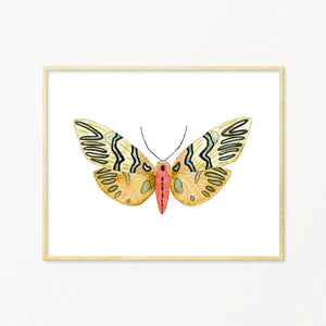 Moth #9 Framed Art Print