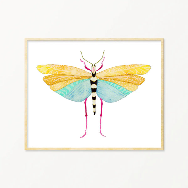 Grasshopper #4 Framed Art Print