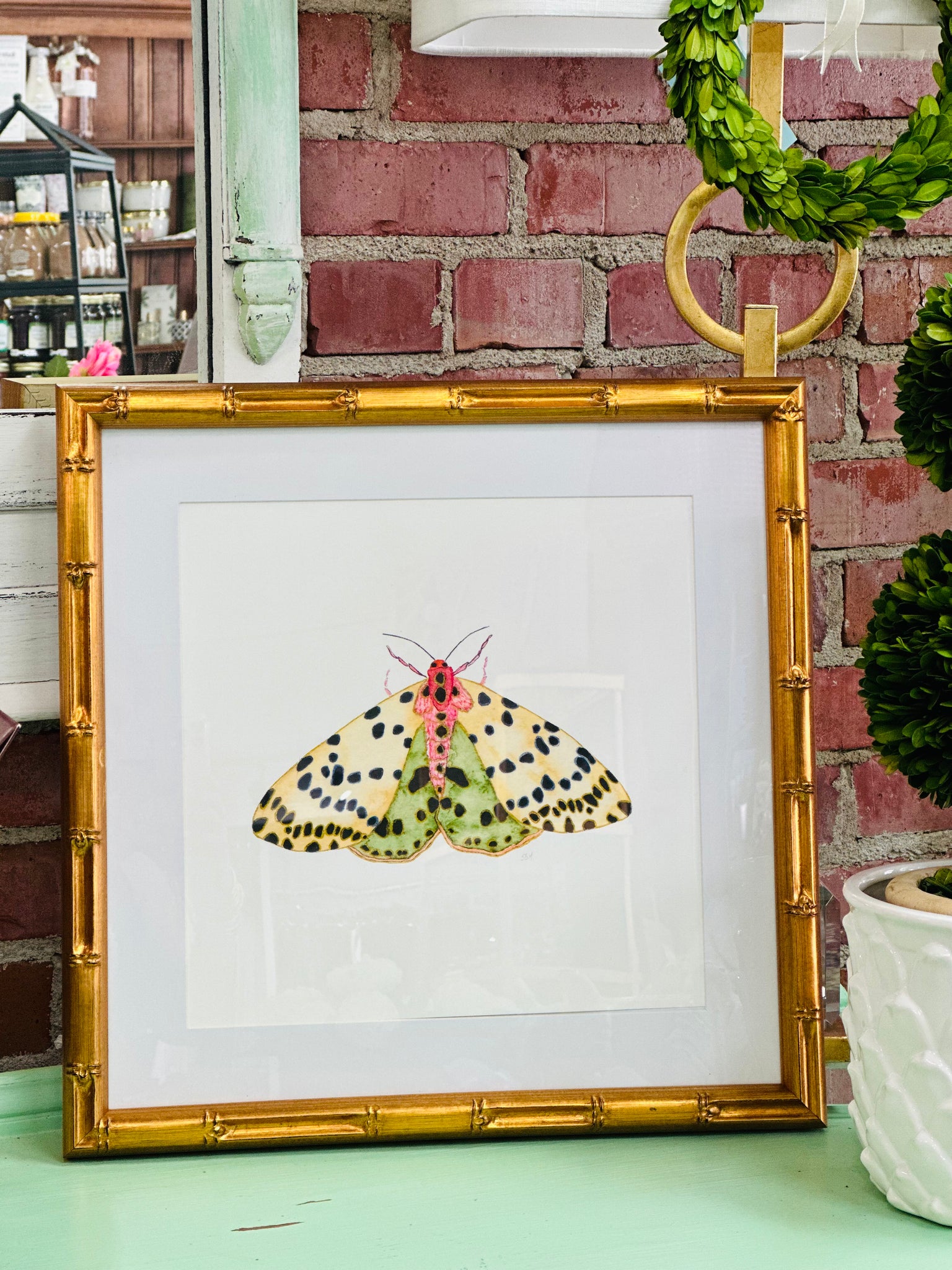 Moth #7 Framed Art Print