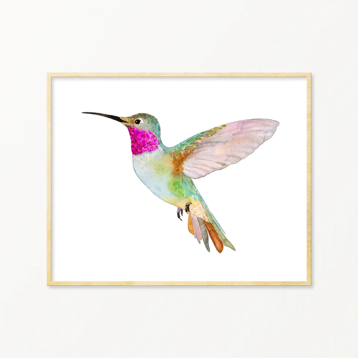 Broad-Tailed Hummingbird Framed Art Print – The Polka-Dot Palm