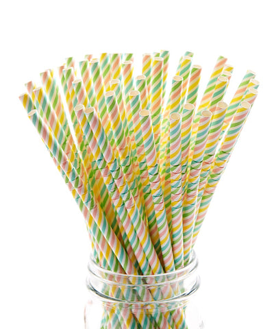 Paper Straws | Multi Color Stripe