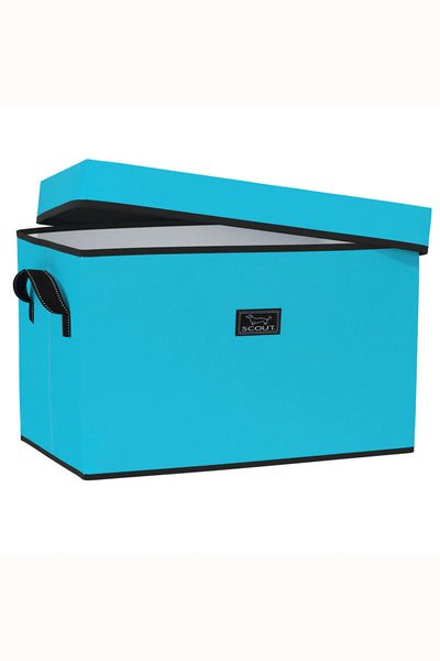 Rump Roost Large Storage Bin | Pool