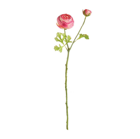 Ranunculus Flower Stem | Pink