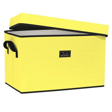 Rump Roost Large Storage Bin | Banana