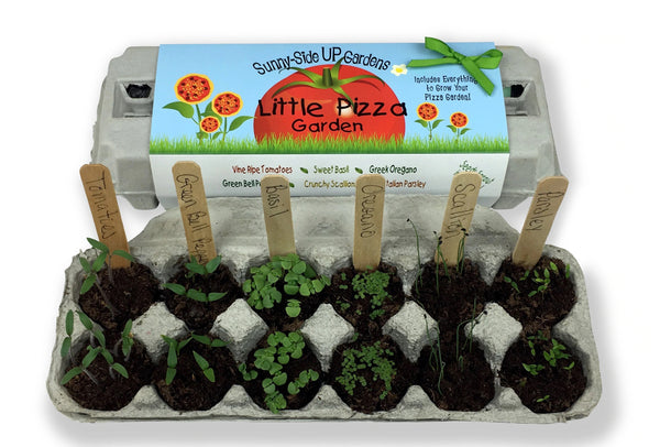 Little Pizza Garden Kit