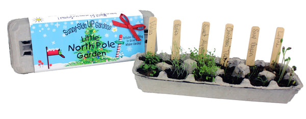 Little North Pole Garden Kit