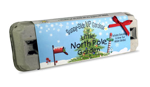 Little North Pole Garden Kit