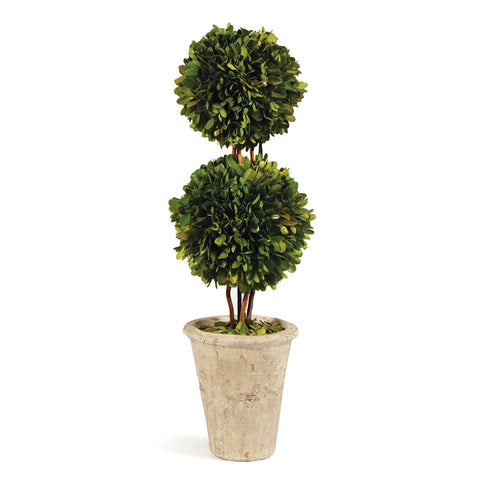Double Sphere Preserved Boxwood Topiary