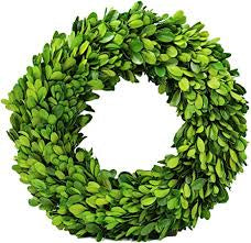 12" Preserved Boxwood Wreath