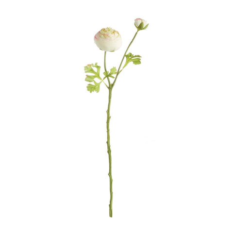 Ranunculus Flower Stem | White