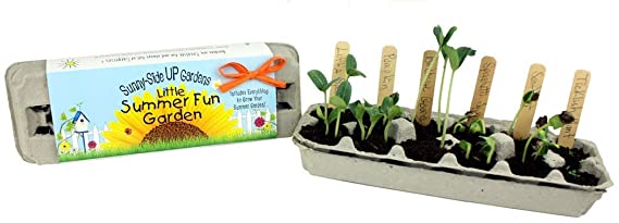 Little Summer Fun Garden Kit