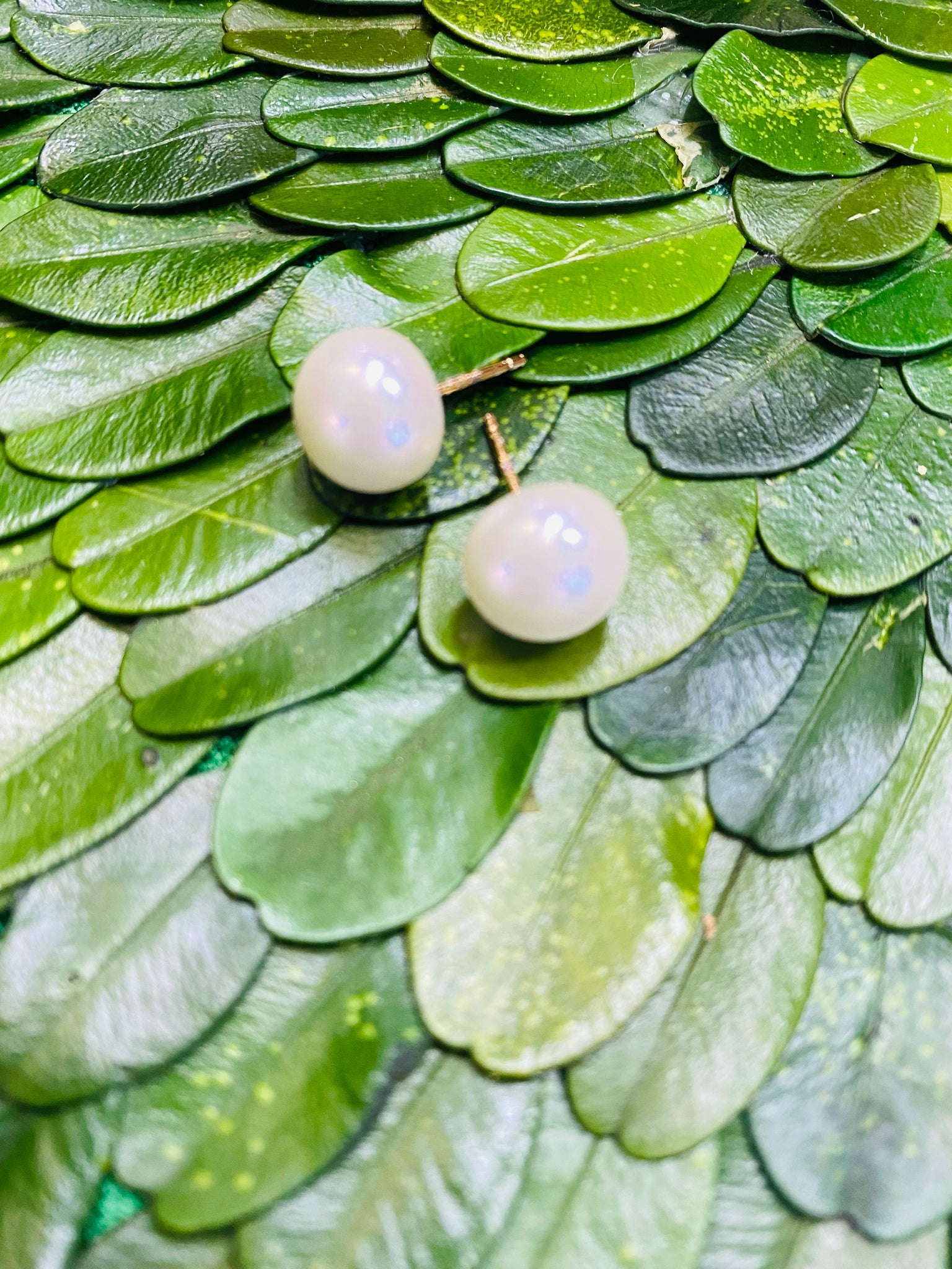 Button Pearl Stud Earrings | 6mm