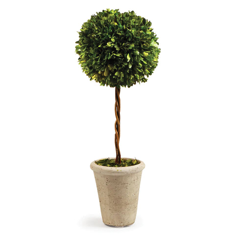 Single Sphere Topiary